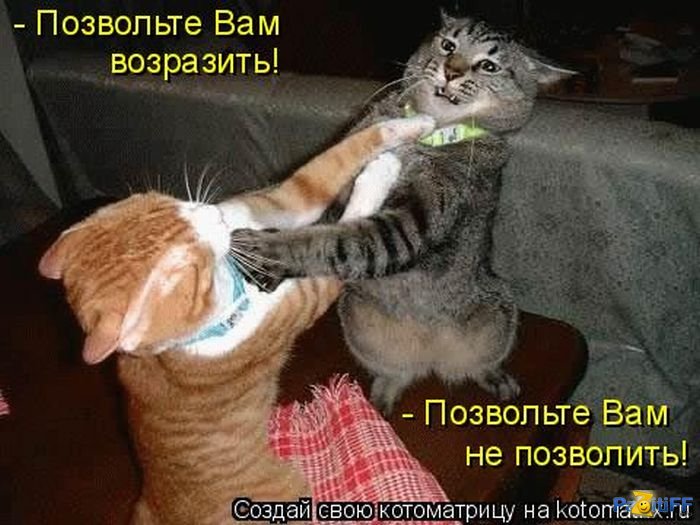 Плесецк. Половые разногласия суда и прокуратуры Плесецк. Половые разногласия суда и прокуратуры