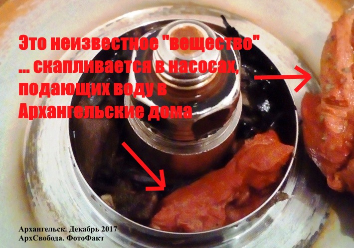 Шок! Что же пьет весь Архангельск? Шок! Что же пьет весь Архангельск?