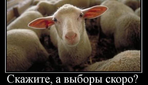 Архангельск. Продаются места в облсобрании Архангельск. Продаются места в облсобрании