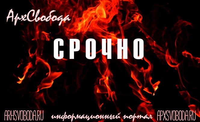Поморье. Готовимся к Холодомору 2020 Поморье. Готовимся к Холодомору 2020