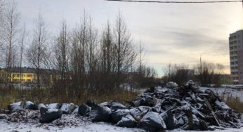Несанкционированную свалку на Бревеннике обещают ликвидировать
