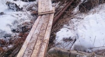 В Архангельске предложили заменить мостки на асфальт
