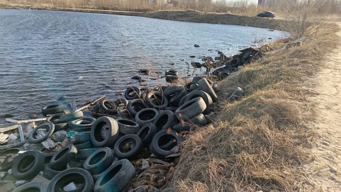 В Северодвинске обнаружили незаконную свалку шин В Северодвинске обнаружили незаконную свалку шин