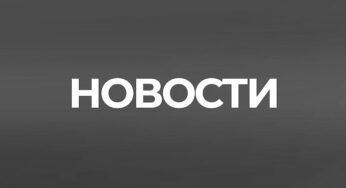 В деревне Курцево появился сказочный сад