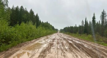 Дорога в Мезень – это боль! Ваше мнение